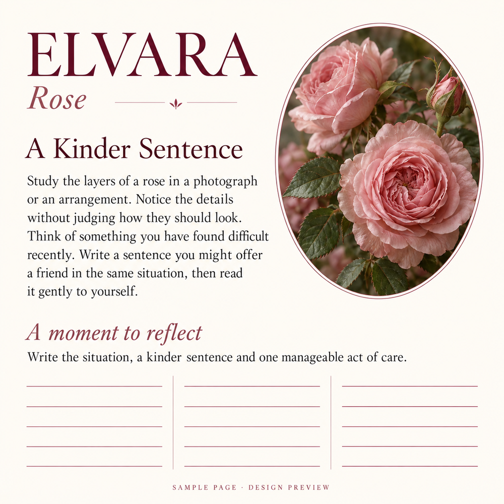 ELVARA Rose sample practice, A Kinder Sentence, with a full transcript provided alongside.