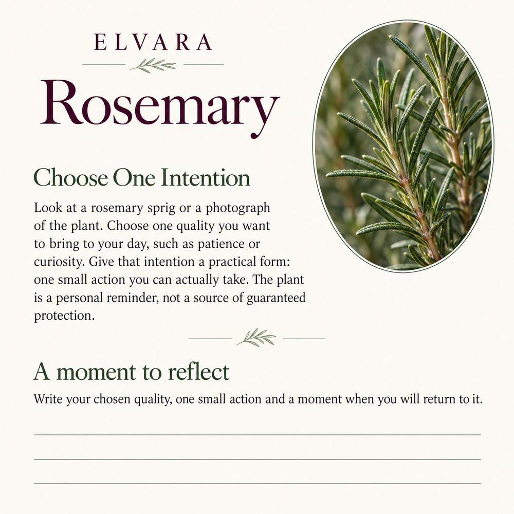 ELVARA Rosemary sample practice, Choose One Intention, with a full transcript provided alongside.