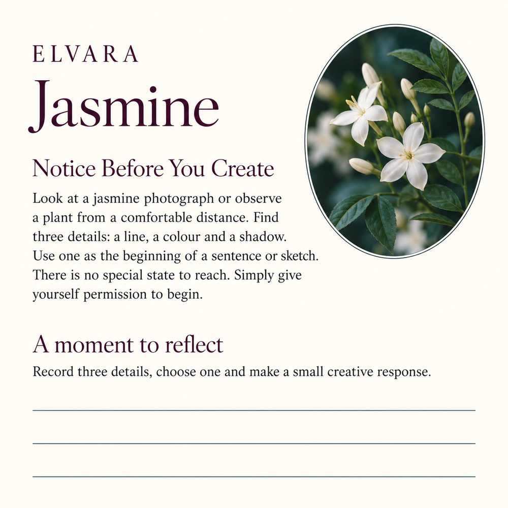 ELVARA Jasmine sample practice, Notice Before You Create, with a full transcript provided alongside.