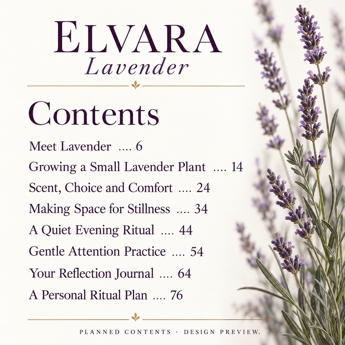 Lavender — Rituals of Rest; Stillness