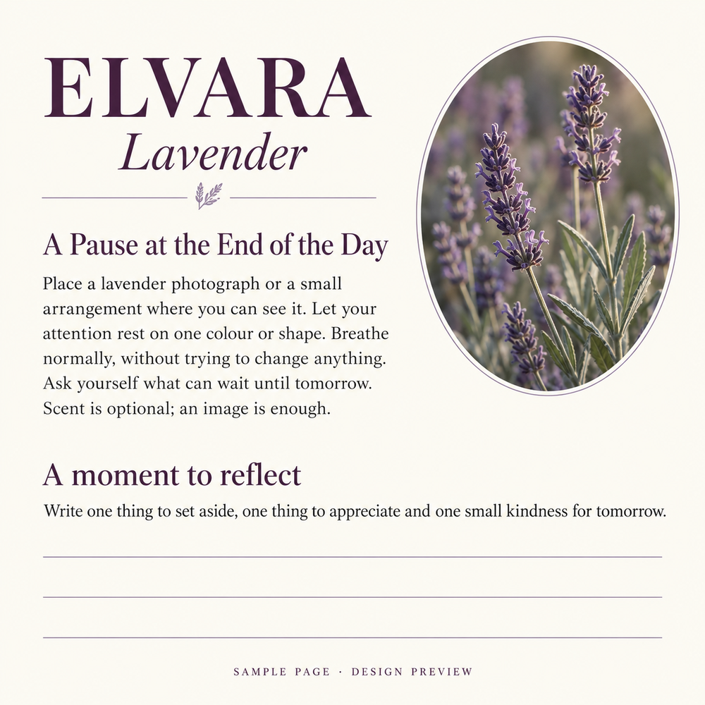 ELVARA Lavender sample practice, A Pause at the End of the Day, with a full transcript provided alongside.