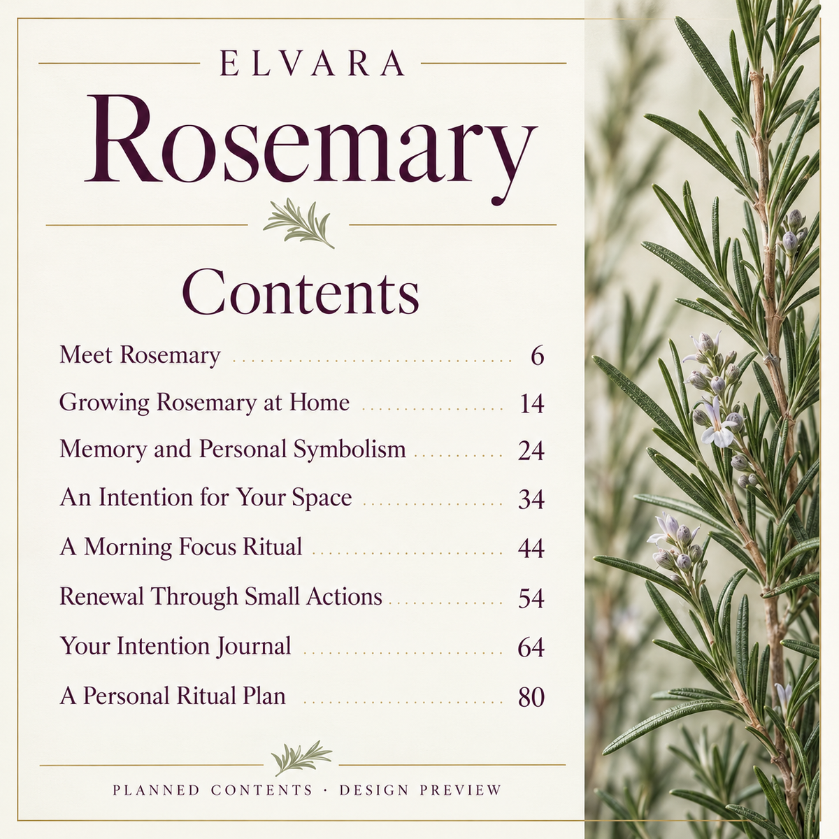 Rosemary — Rituals of Clarity; Renewal